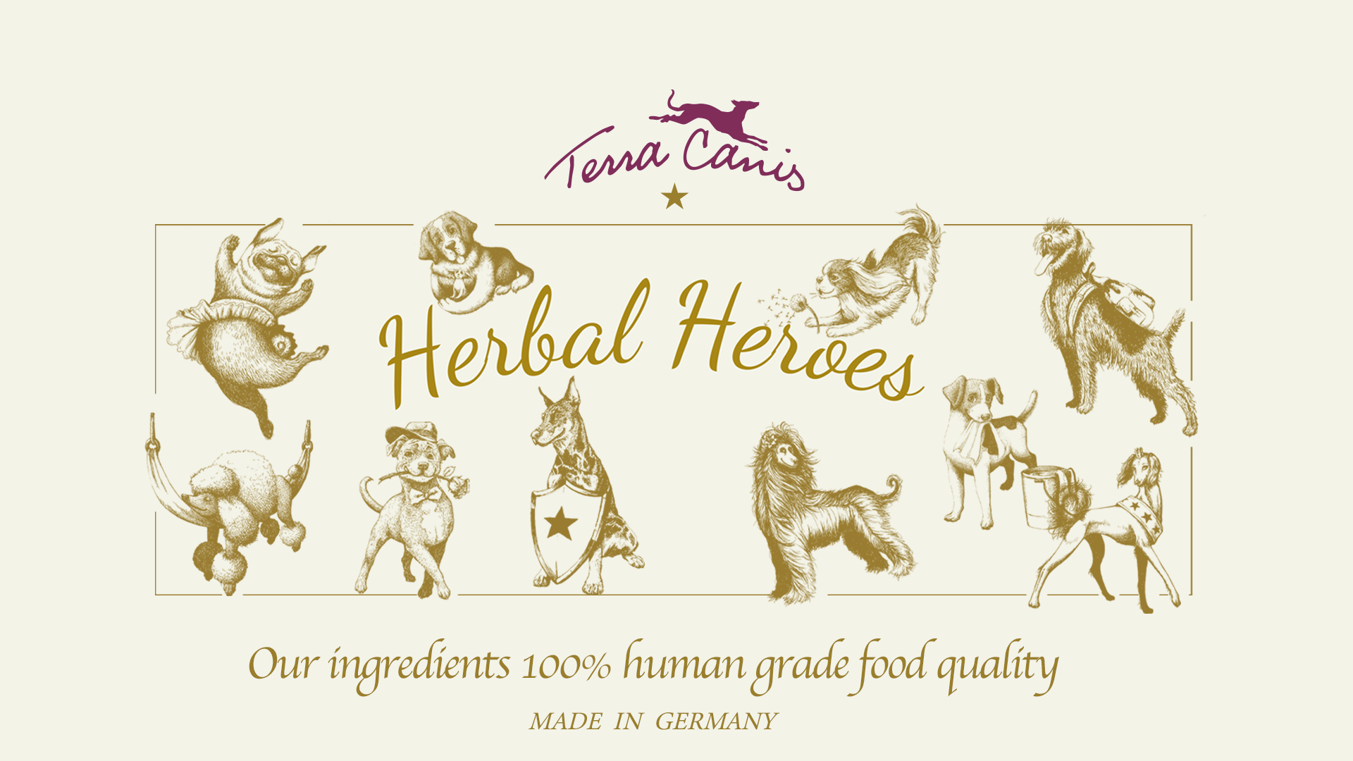 Terra Canis(テラカニス)-バイエルンの伝統的なお肉屋さんが作った